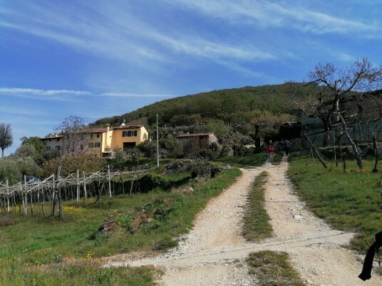 Cà Merli Cà Merli