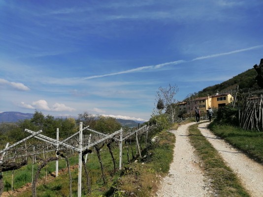 Cà Merli Cà Merli