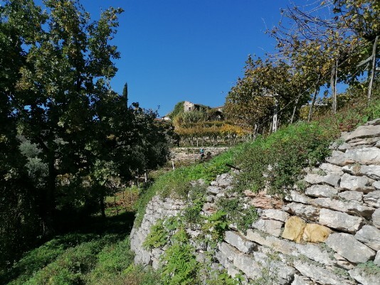 Purano Purano