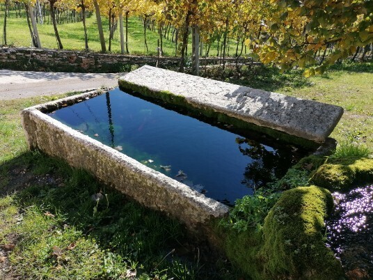 Lavatoio zona Purano Parco Valpolicella CAI Lavatoio zona Purano Parco Valpolicella CAI