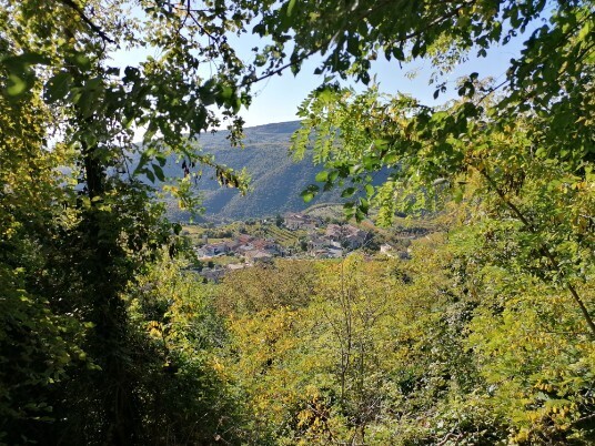 Panorami Panorami