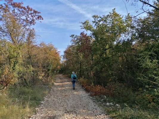 Via Valle Via Moiago