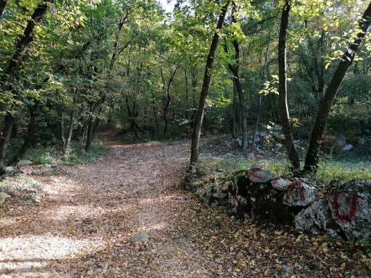 sentiero stradina in salita da Cadelapela sentiero stradina in salita da Cadelapela