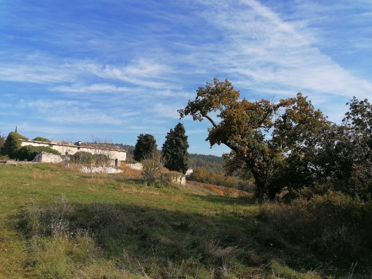 ruderi Ruderi