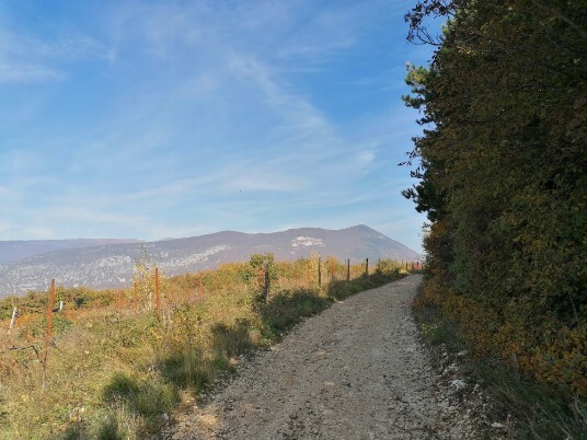 stradina sterrata in salita Monte Solane - Vecchia chiesa di Cavalo stradina sterrata in salita Monte Solane - Vecchia chiesa di Cavalo