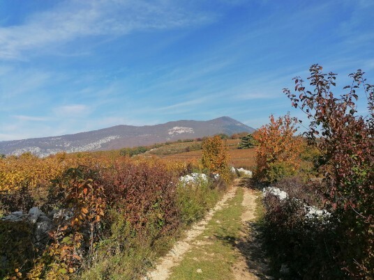 Panorami monte Solane sullo sfondo il Monte Pastello Panorami monte Solane sullo sfondo il Monte Pastello