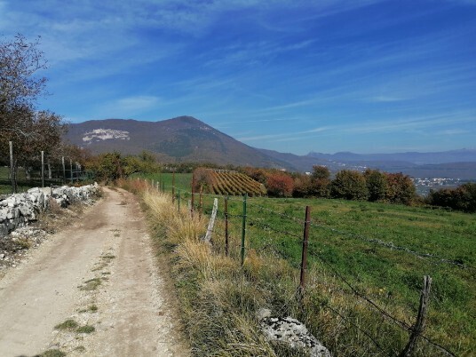 Monte Pastello Monte Pastello
