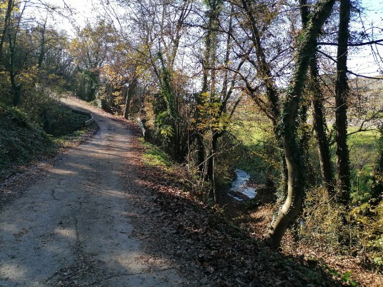 stradina sterrata in salita per gnirega stradina sterrata in salita per Gnirega