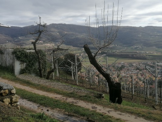 da Masua panorama su Valle di negrar Monte Comun da Masua panorama su Valle di negrar Monte Comun