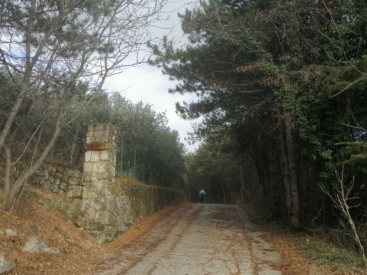 Via Masua a sinistra bivio per salita al capitello Via Masua a sinistra bivio per salita al capitello