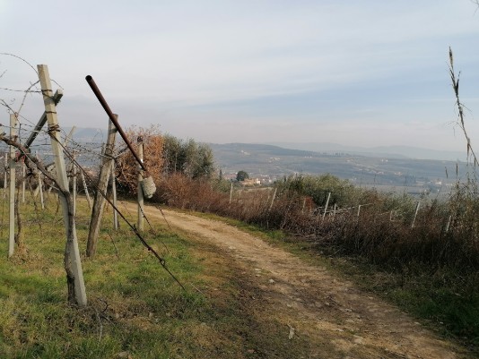 Panorami Panorami