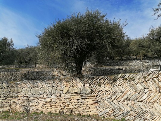 Mosaico dei muretti a secco Mosaico dei muretti a secco
