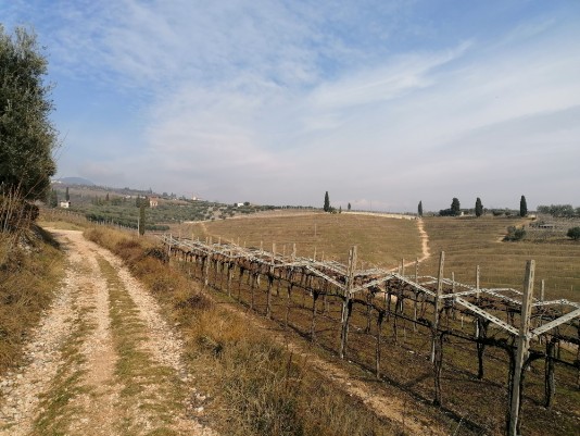 panorami panorami