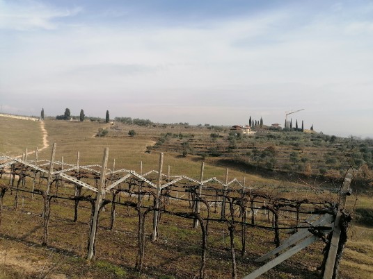 panorami Gargagnago Armaron panorami Gargagnago Armaron