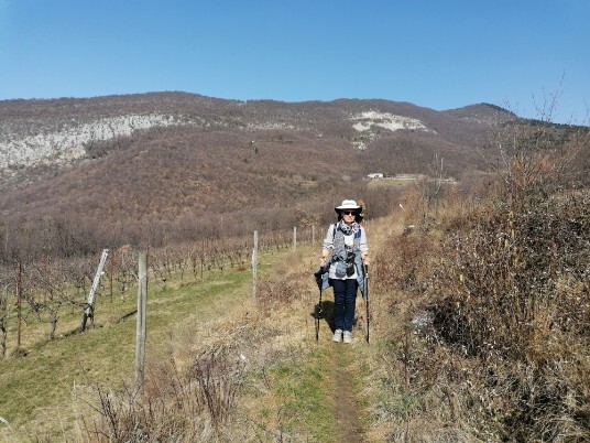 in direzione Vecchia Chiesa di Cavalo alle spalle il Monte Pastello in direzione Vecchia Chiesa di Cavalo alle spalle il Monte Pastello