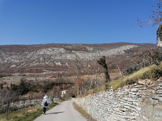 discesa a Monte discesa a Monte