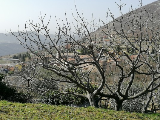 Monte e chiesa Monte