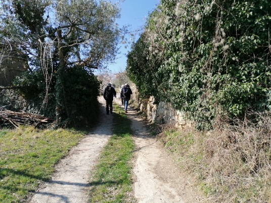 salendo verso Crosetta salendo verso Crosetta