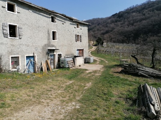 rudere ex casa agricola rudere ex casa agricola