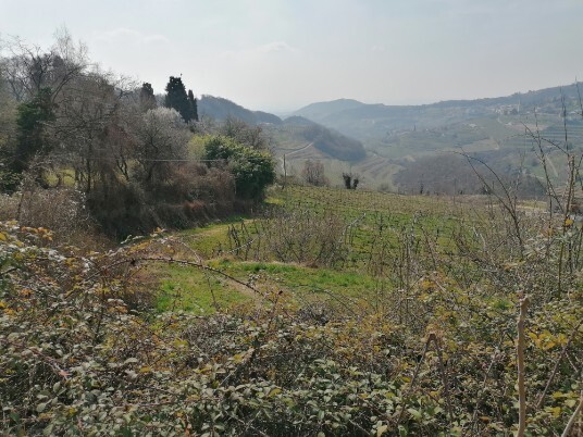 Panorami da Panego Panorami da Panego