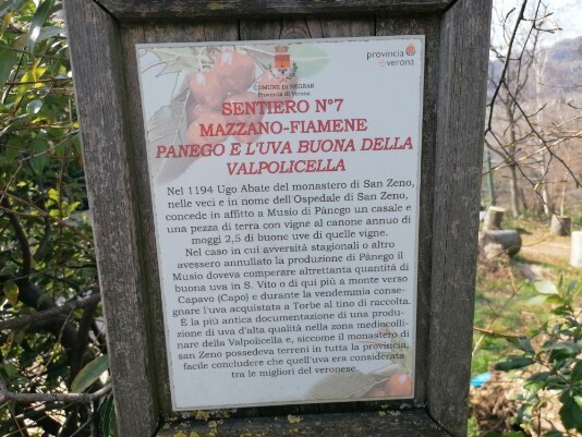 da Leggere storia Panego e uva buona da Leggere storia Panego e uva buona