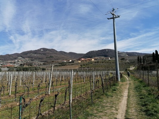 sentierino in uscita da Arena Verde Via Moiago