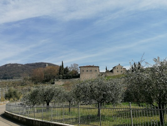 Castel visto salendo da Vigolo Castel visto salendo da Vigolo