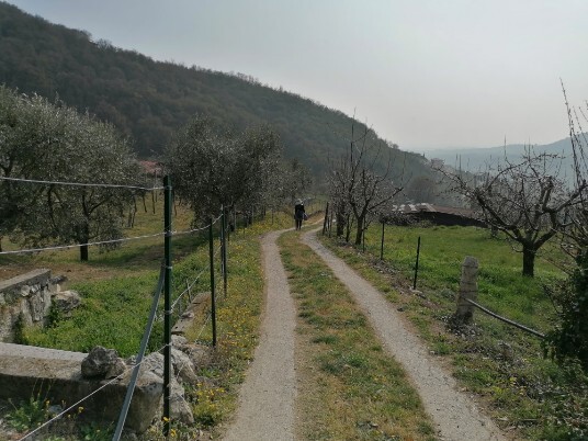 discesa verso Dosso discesa verso Dosso