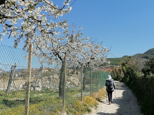 stradina sterrata per Villa da Arena Verde stradina sterrata per Villa da Arena Verde