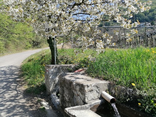 Ca Brusa' Lavatoio Lavatoio Ca Brusà