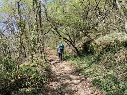 sentiero in salita per Colombare di Villa sentiero in salita per Colombare di Villa