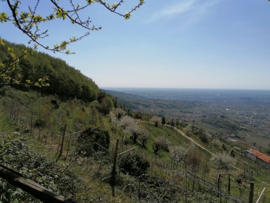 Panorami da Colombare di Villla Panorami da Colombare di Villla