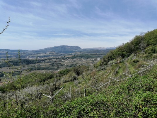 Panorami da Colombare di Villa sullo sfondo Il Monte Pastello Panorami da Colombare di Villa sullo sfondo Il Monte Pastello