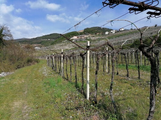 Verso Molino Verso Molino