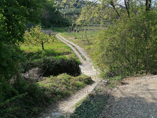 attraversamento progno dopo Via molino Costeggiola attraversamento progno dopo Via molino Costeggiola