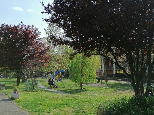 arena verde parchetto arena verde parchetto