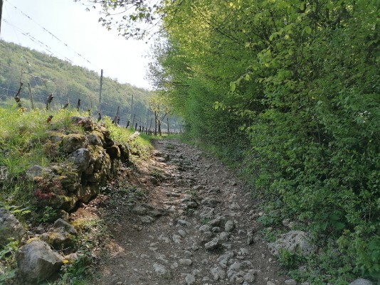 sentierino da Campi di sotto a Campi di sopra sentierino da Campi di sotto a Campi di sopra