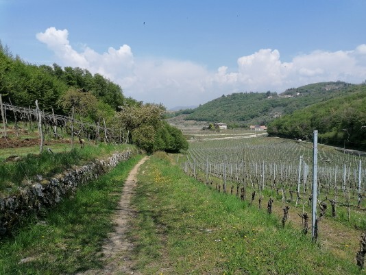 sentierino da Campi di Sopra sentierino da Campi di Sopra