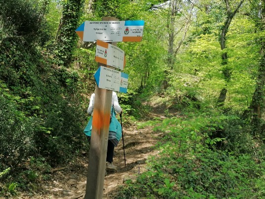 segnavia Per Spigamonte/Montecchio segnavia Per Spigamonte/Montecchio