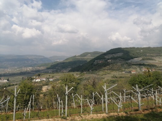 Panorami Panorami