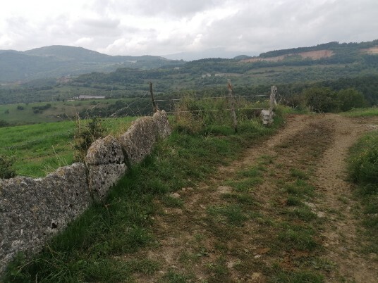 sentiero dismesso Cona sentiero dismesso cona