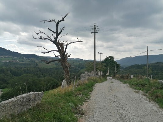 salita per Gravazzo stradina e poi sentiero salita per Gravazzo stradina e poi sentiero
