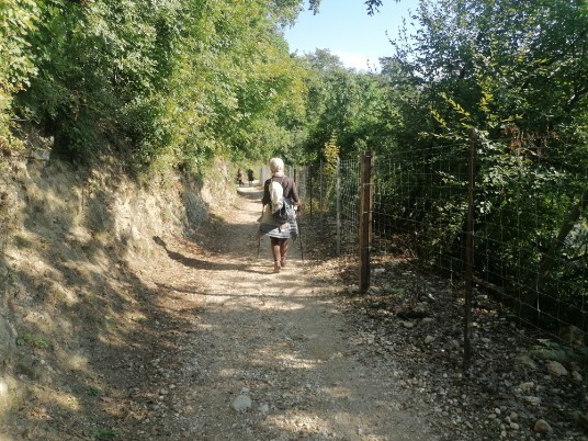 sentiero stradina che scende su Bardolino sentiero stradina che scende su Bardolino