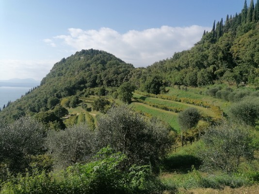 pendici de la Rocca visti da sud pendici de la Rocca visti da sud