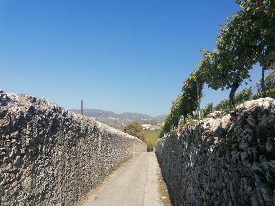 Strada dei Muri per san Peretto - Villa Rovereti Strada dei Muri per san Peretto - Villa Rovereti
