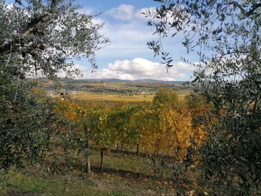panorama su valle di Fumane da Via Bure Alto panorama su valle di Fumane da Via Bure Alto