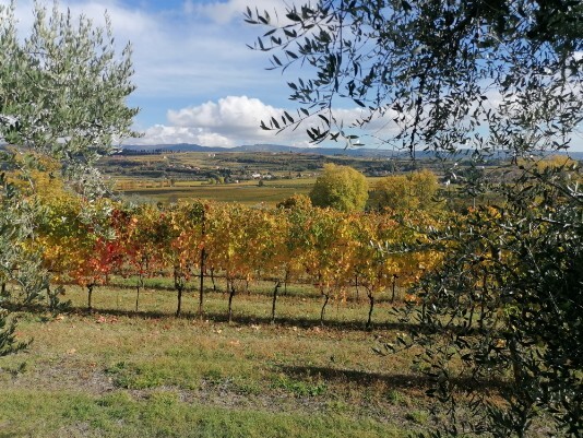 panorama su valle di Fumane da Via Bure Alto panorama su valle di Fumane da Via Bure Alto