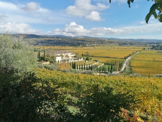 Tenute Ugolini Vista da Via Bure Alto-Marega Tenute Ugolini Vista da Via Bure Alto-Marega