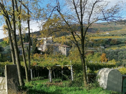 Contrada Marega Monte dei Ragni Contrada Marega Monte dei Ragni