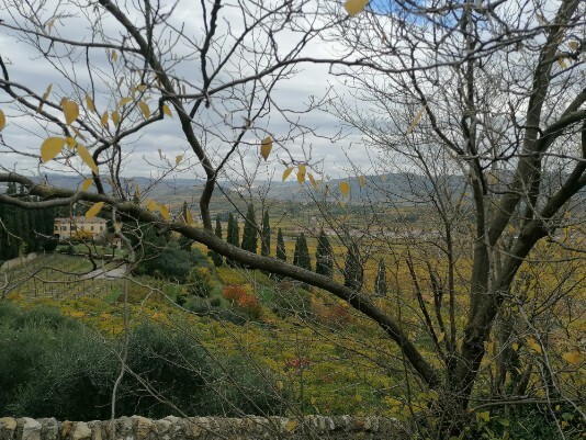 Panorami da Castelrotto Panorami da Castelrotto